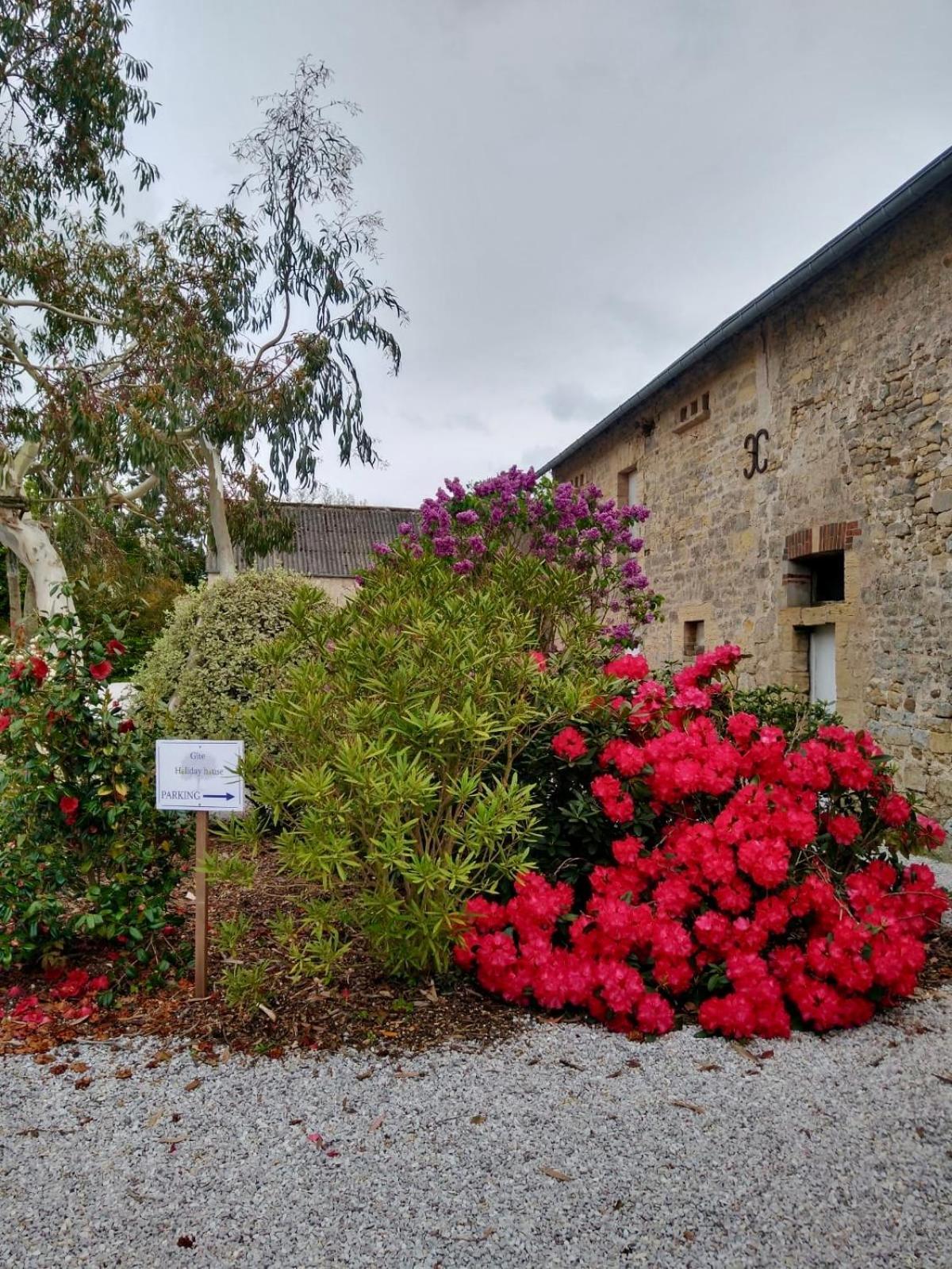 Les Chambres D'Omaha Beach Etablissement Avec Deux Chambres D'Hotes, Petit-Dejeuner Compris Fait-Maison Et Produits Locaux เวียร์วิลล์ ซัวร์ แมร์ ภายนอก รูปภาพ